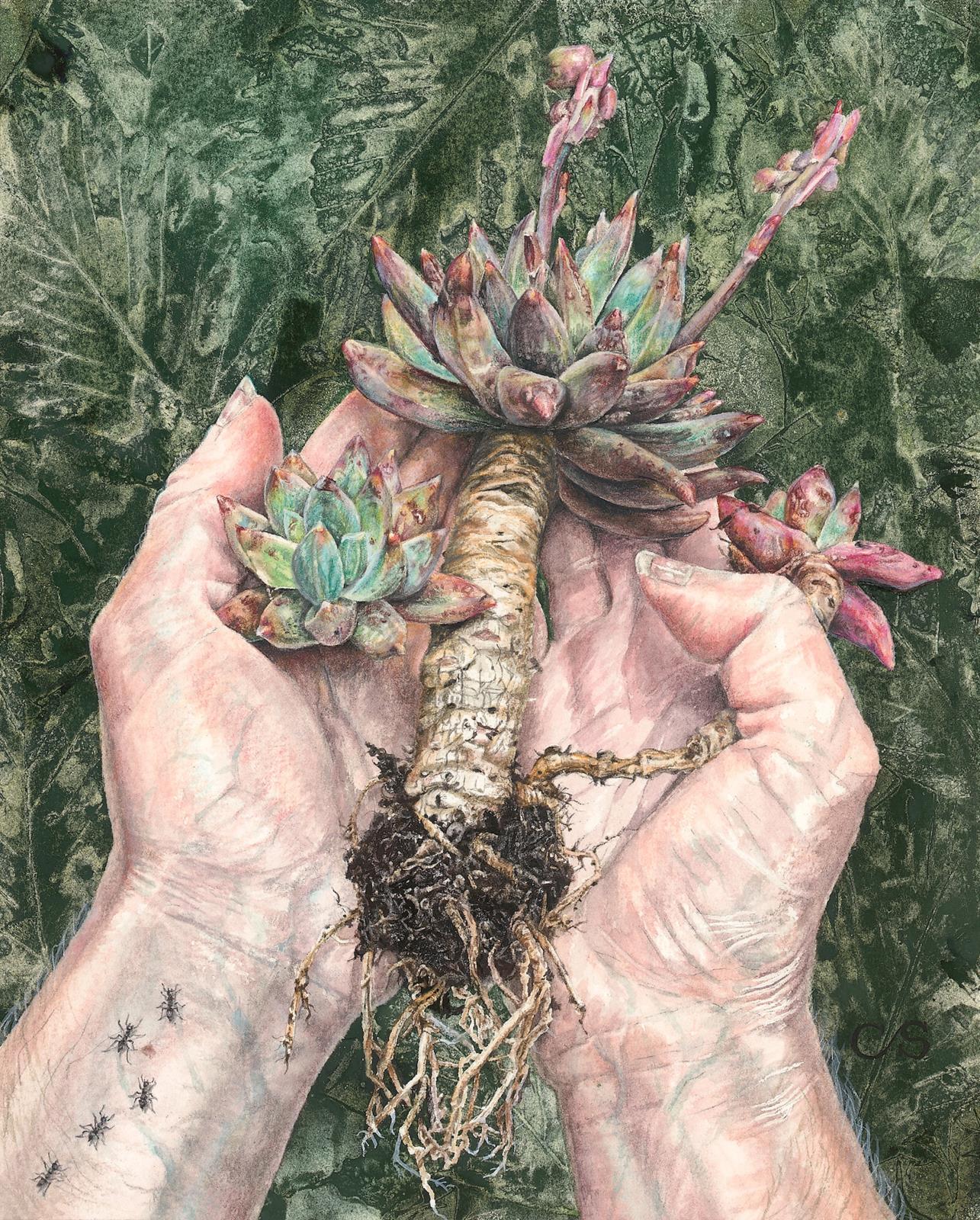 Succulent